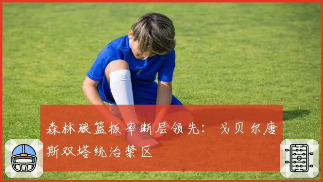 森林狼篮板率断层领先:戈贝尔唐斯双塔统治禁区