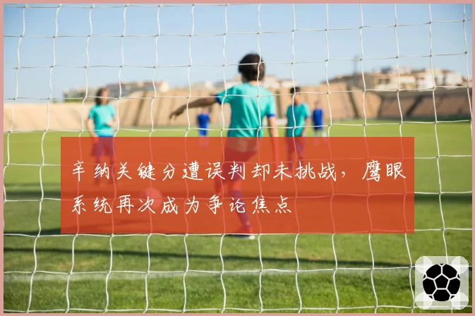 辛纳关键分遭误判却未挑战，鹰眼系统再次成为争论焦点
