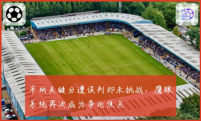 辛纳关键分遭误判却未挑战，鹰眼系统再次成为争论焦点